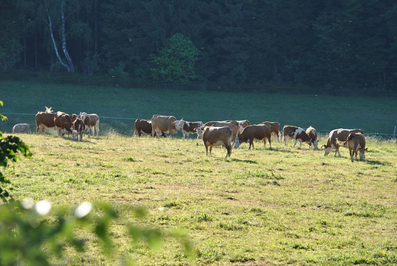 Ferienhaus Nordschwarzwald Neuweiler  Exterior foto
